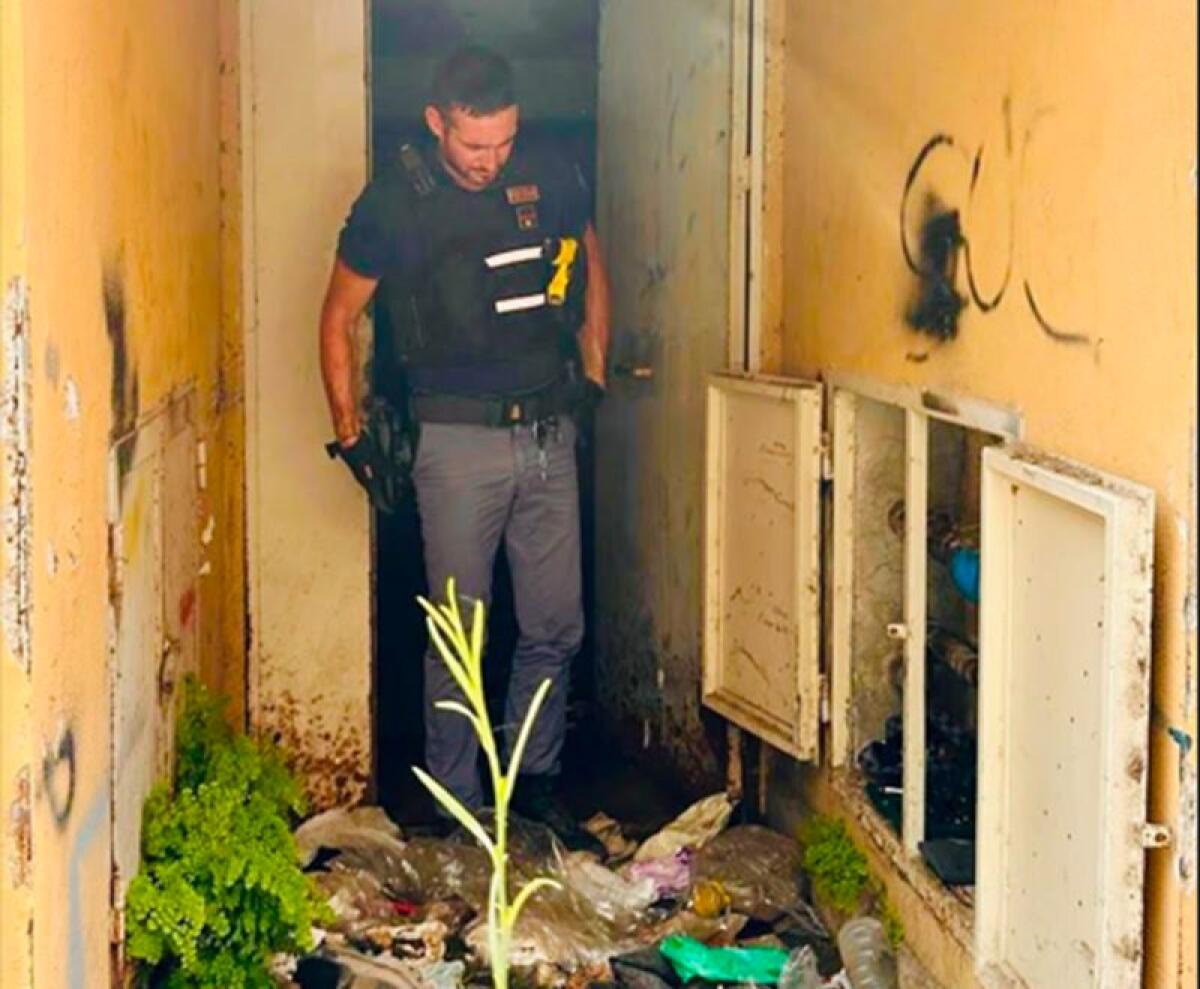 Armi, munizioni e mezzi rubati scoperti in un sottoscala dello Zen di Palermo - 