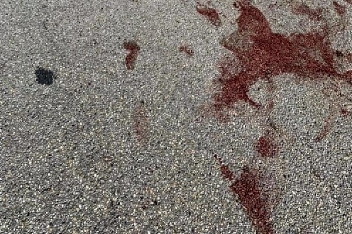 Ferito con un'arma da taglio, trasferito in ospedale  - 