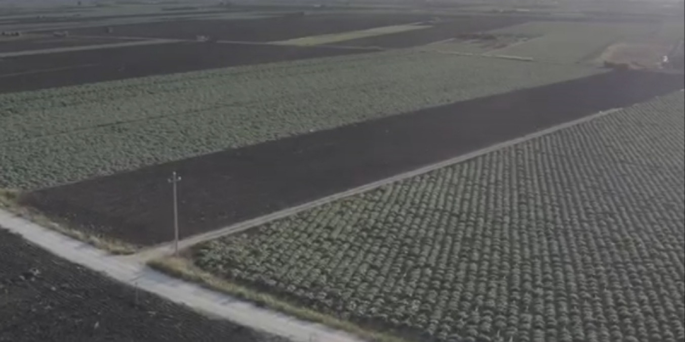 Irregolarità per i fondi in agricoltura, somme sequestrate e indagati  - 