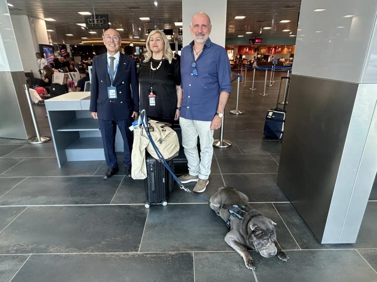 Partito dall’aeroporto di Palermo il primo volo ITA Airways con cane di grossa taglia - 