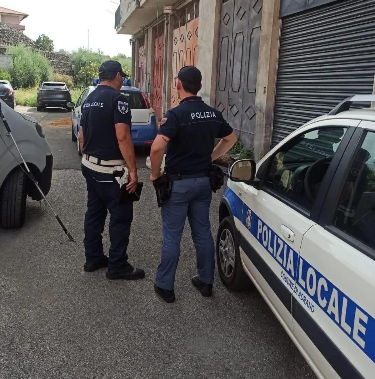 Cani uccisi e torturati nel Catanese, denunciato un 47enne - 