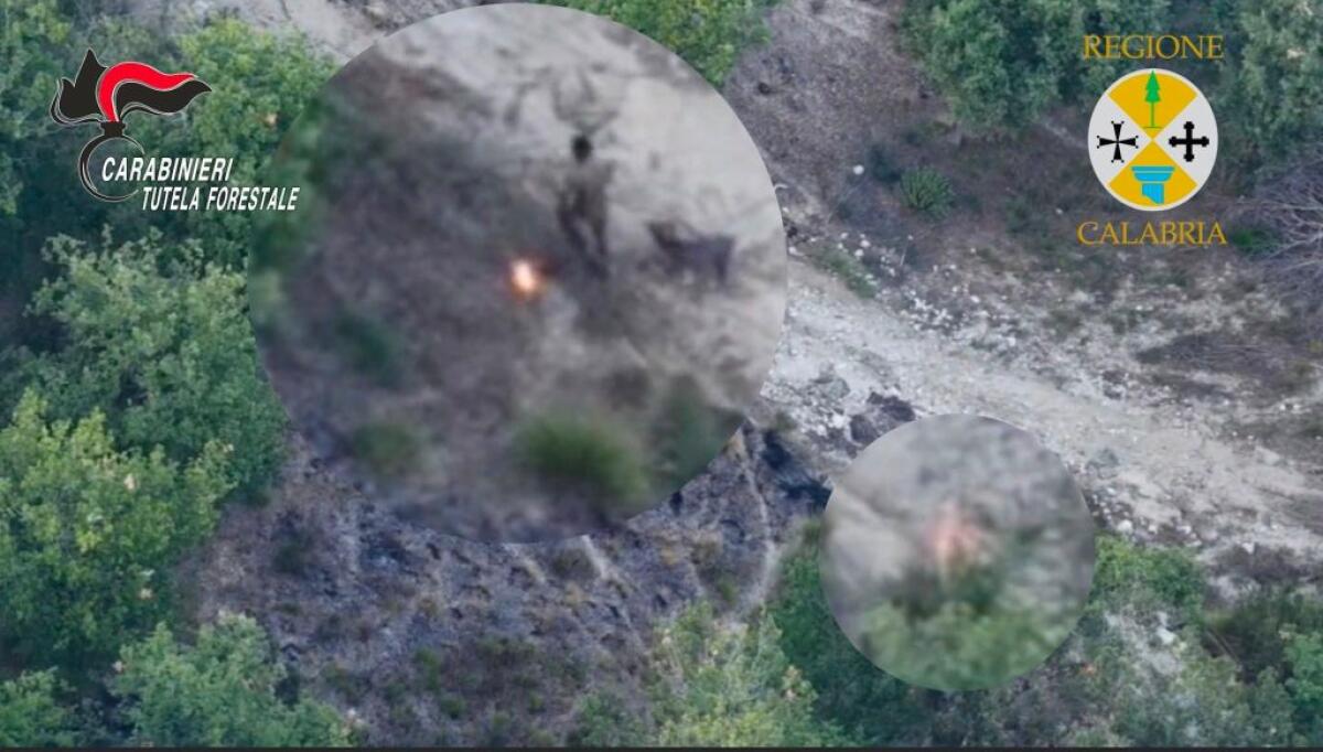 Sorpreso dal drone a incendiare bosco, arrestato allevatore nel vibonese - 
