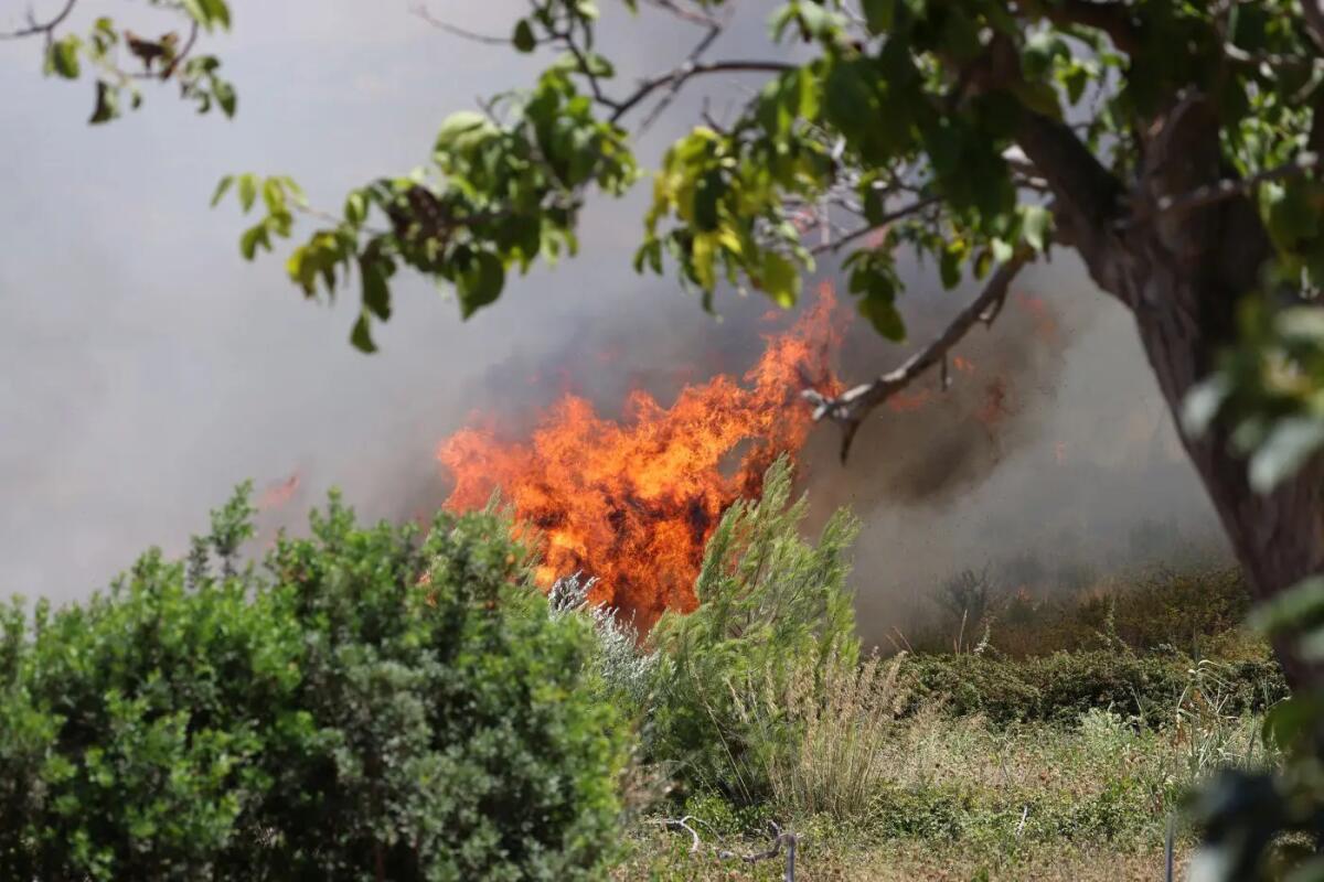 Caldo estremo in Sicilia, incendi in tutta l’Isola - 