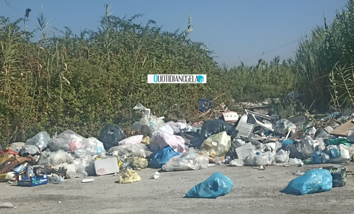 Intere aree in mano a chi abbandona rifiuti di ogni tipo, in via Generale Cascino sacchi in strada - 