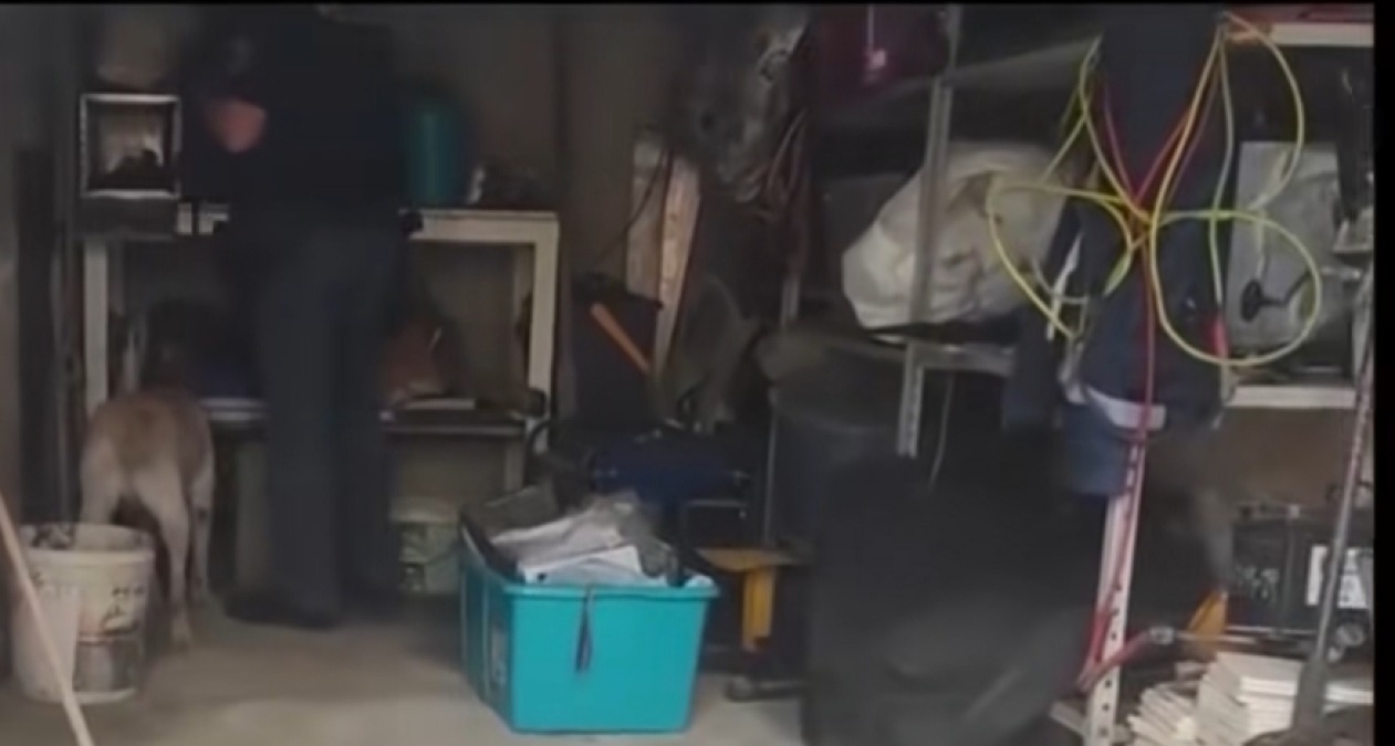 Ordigni, droga e armi, dopo il fermo la convalida davanti al gip - 