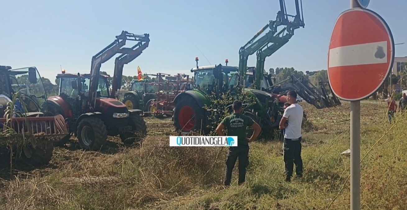 La protesta dei trattori entra in città: agricoltori, "siamo stanchi non ce la facciamo più" - 