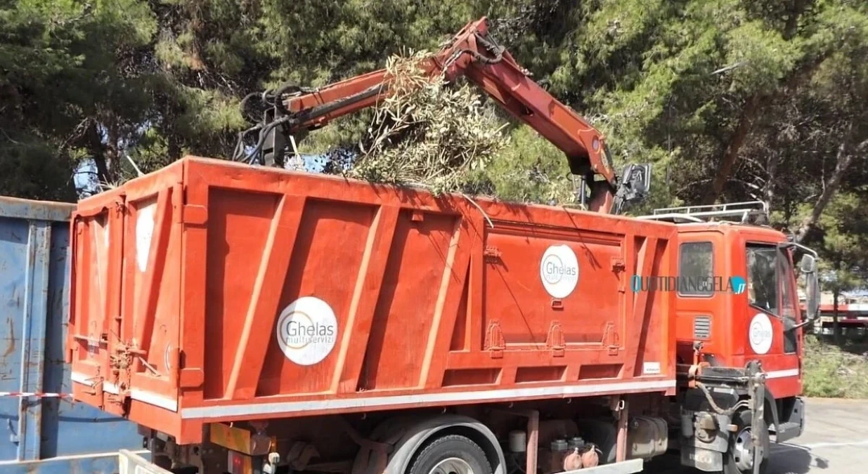 Verde pubblico e pulizia aree incolte, nuovo affidamento a Ghelas - 
