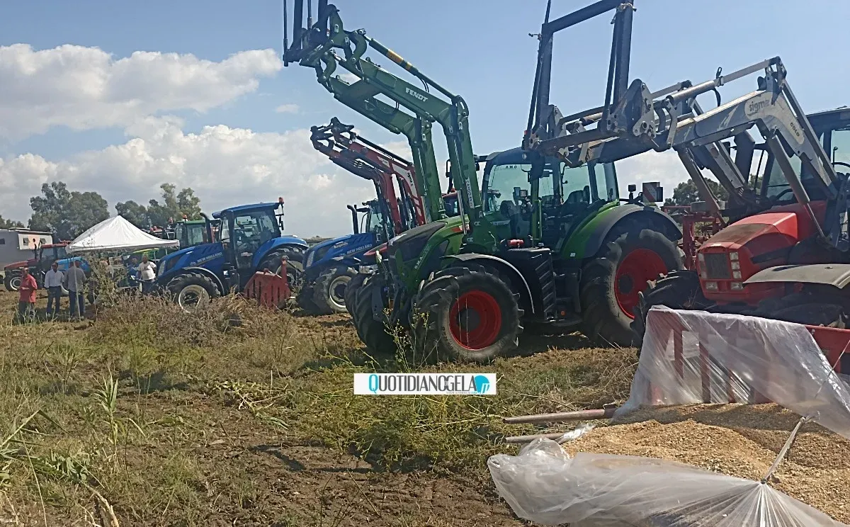 Agricoltura, 59 milioni per cantine sociali, gasolio e grano, Scuvera: "Sostegno alle filiere" - 