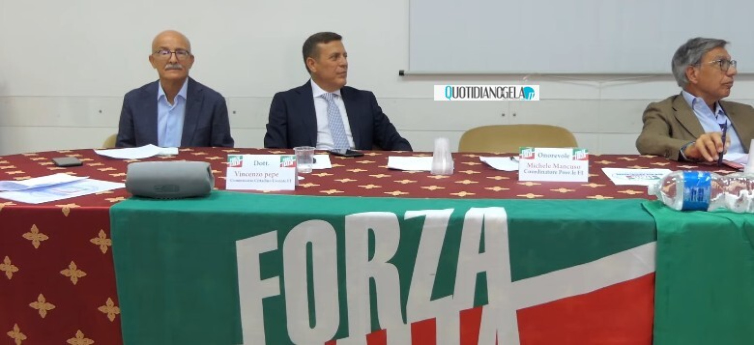 FI si spacca ancora, Greco: "Dichiarazioni Cirignotta sono incomprensibili" - 