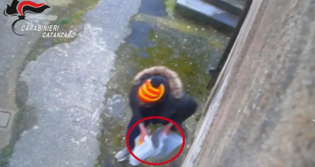 Droga comprata con il reddito di cittadinanza, 24 indagati tra Catanzaro e Vicenza - 