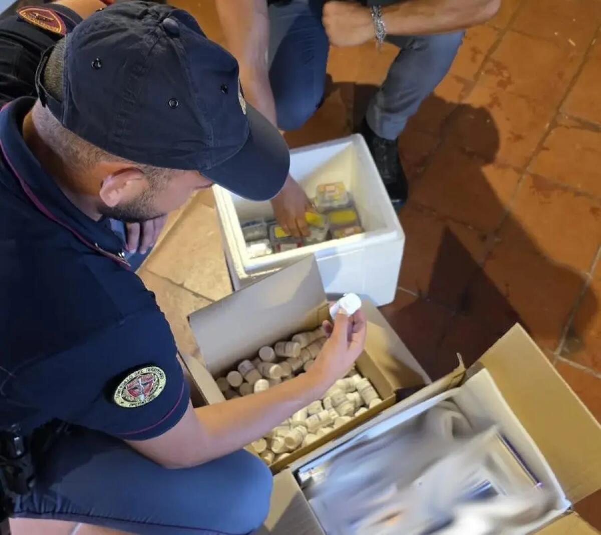Maxi sequestro di farmaci dopanti a Caltagirone, un uomo ai domiciliari - 