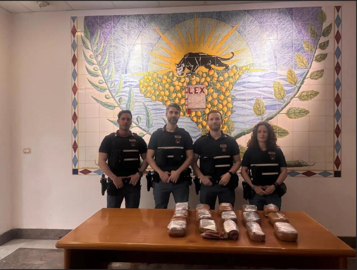 Maxi sequestro di droga a Palermo, scoperti 21 kg di cocaina nel quartiere Falsomiele - 